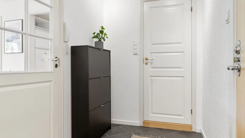 A small, bright apartment entryway with white doors, a tiled floor, a narrow black cabinet and a potted plant