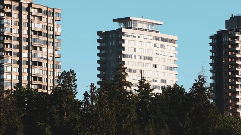 Apartment towers rising above evergreen trees on a clear day